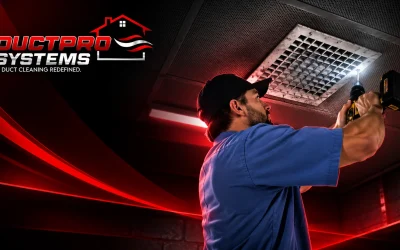 Dirty Ducts and HVAC Efficiency: How Duct Contamination Can Affect System Performance